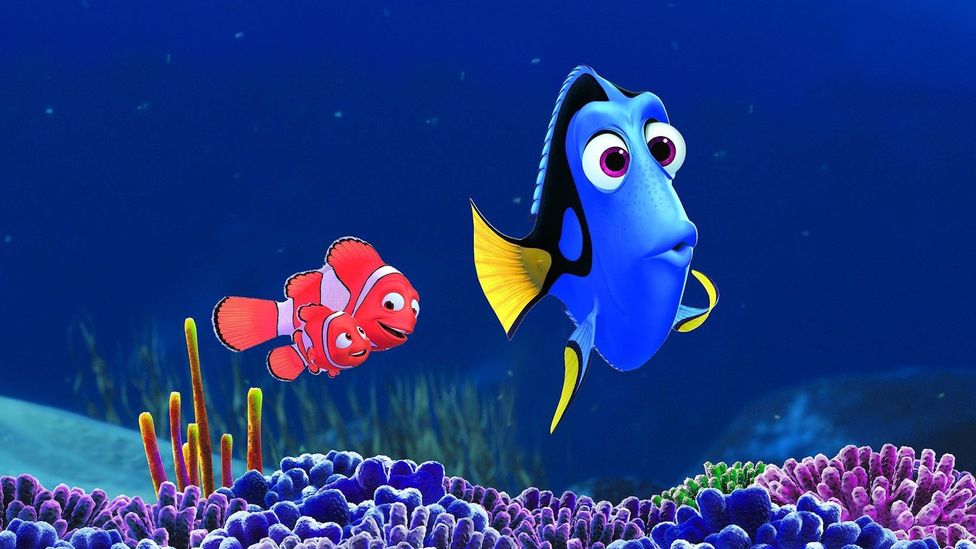 Dory personality type