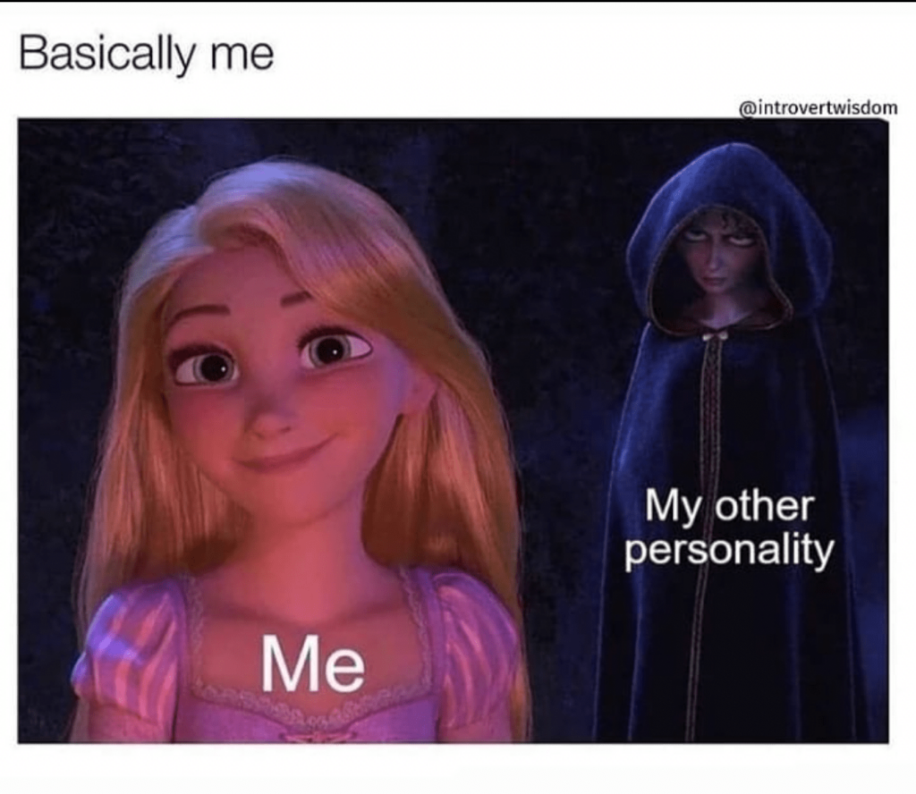 28 Funny Memes Any INFJ Will Relate To | So Syncd