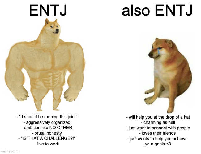 Funny ENTJ Memes - cocky but helpful