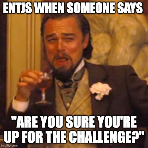 love a challenge meme leonardo dicaprio