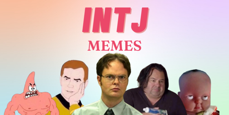 28 Funny Memes Any INTJ Will Relate To