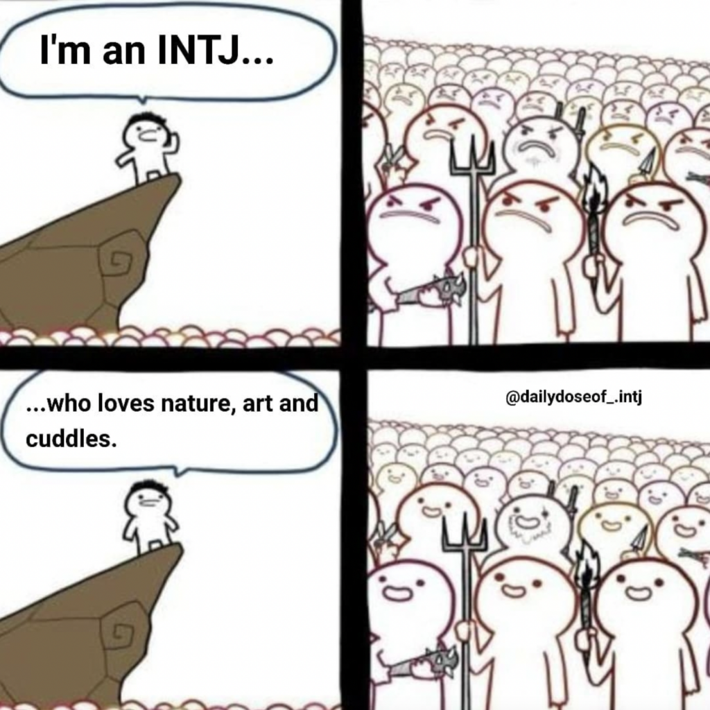 28 Funny Memes Any INTJ Will Relate To | So Syncd