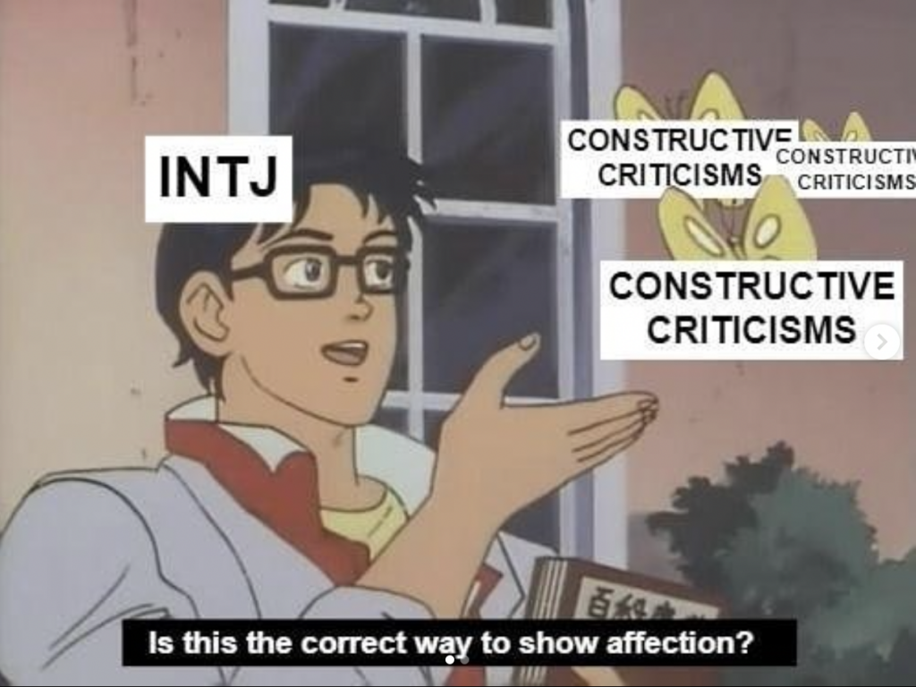 constructive criticism INTJ meme