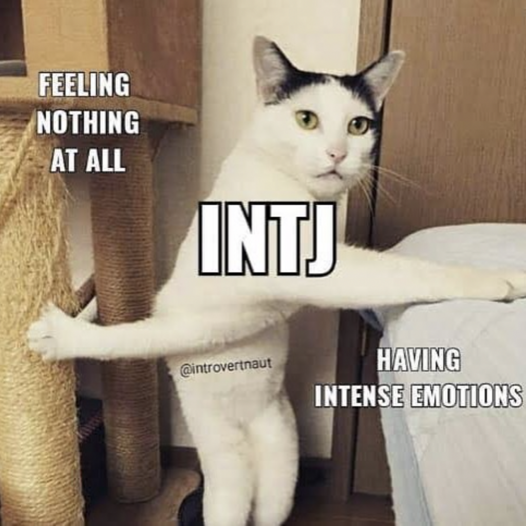 INTJ complex feeling everything and feeling nothing meme