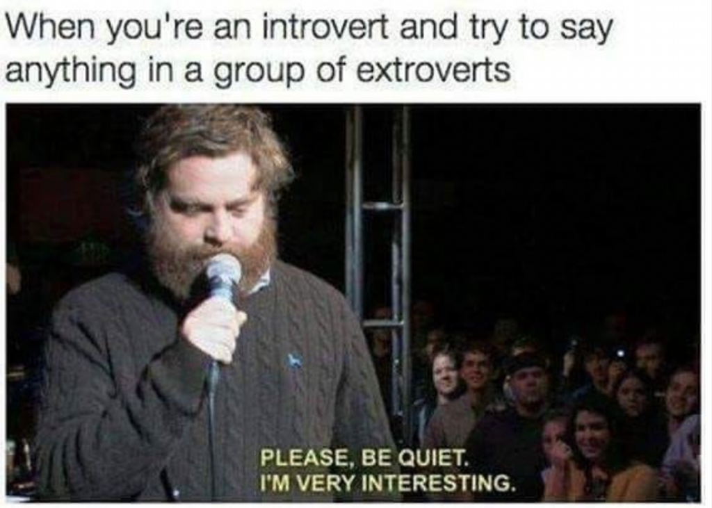 INTP Meme - introvert with extroverts