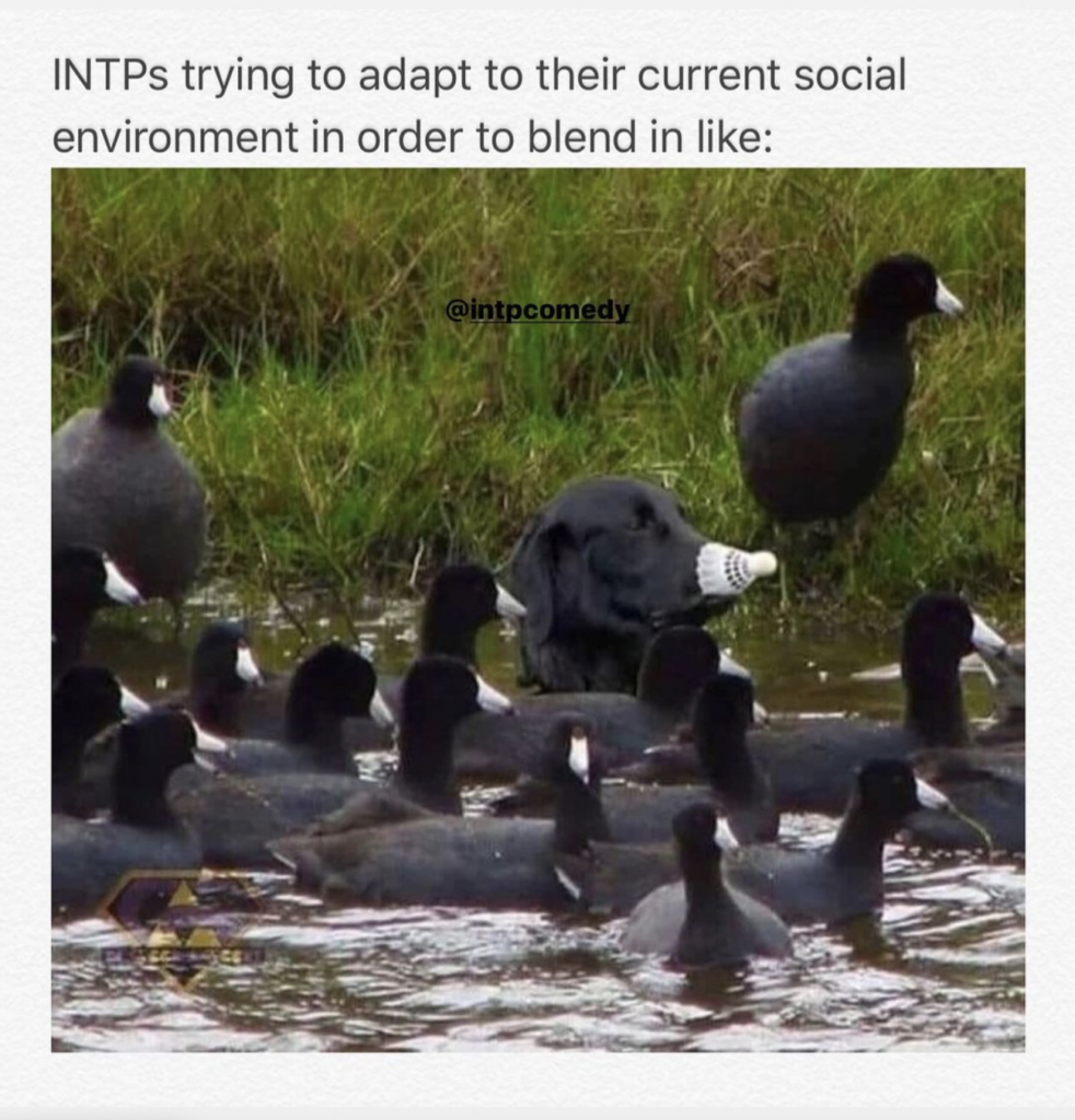trying to blend into social environment funny meme INTP