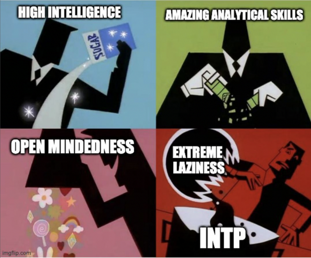 INTP Meme - intelligent analytical but lazy