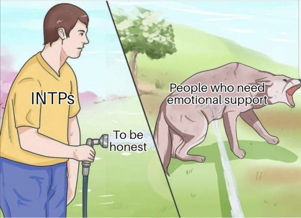 INTPs not good with emotional support brutal funny