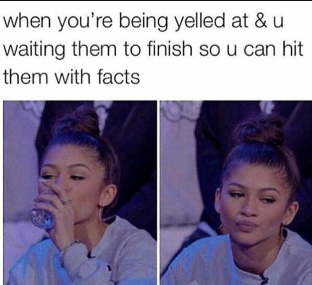 when you're being yelled at and you wait for them to finish so you can hit them with facts zendaya meme