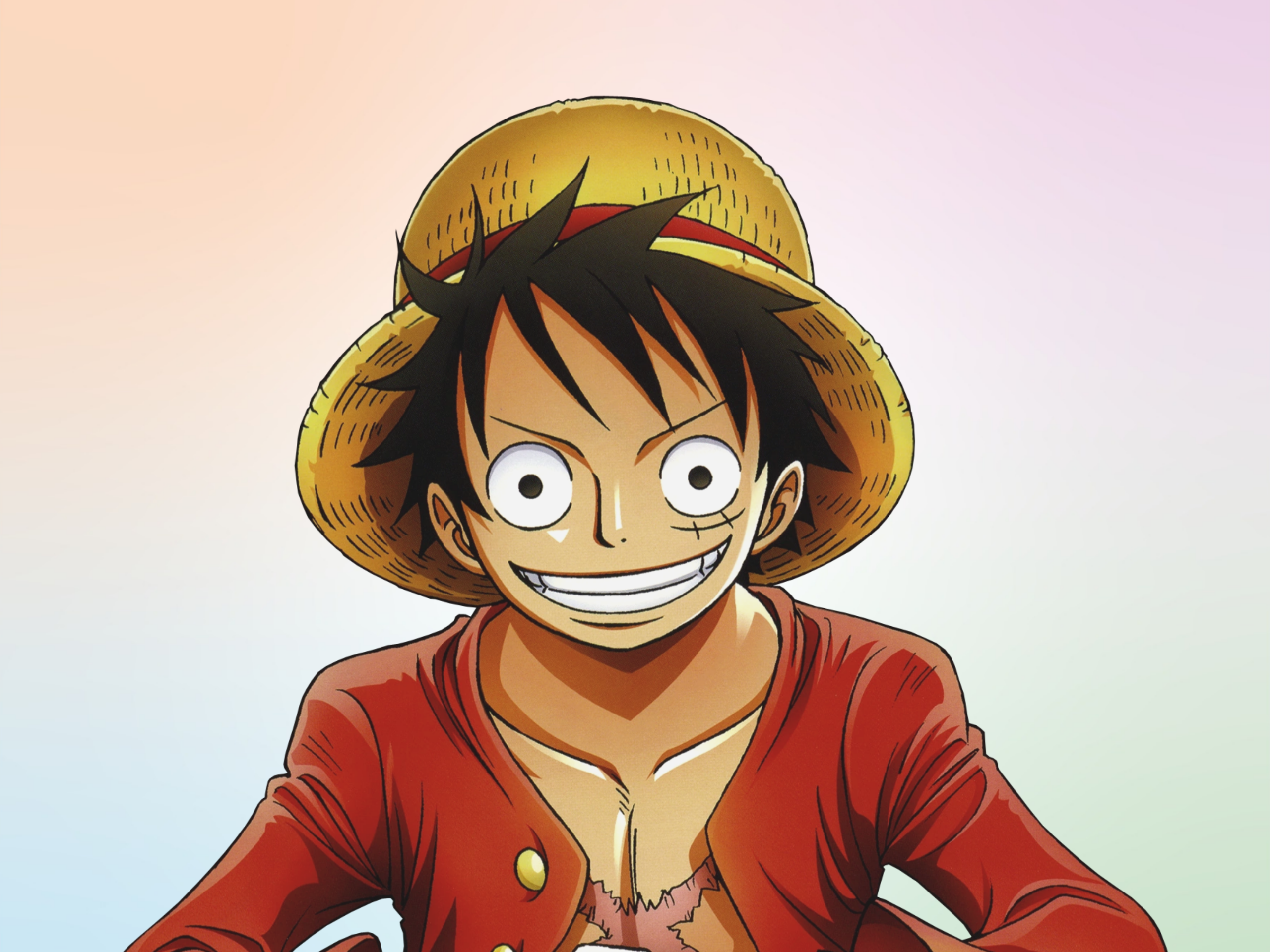 Monkey d luffy