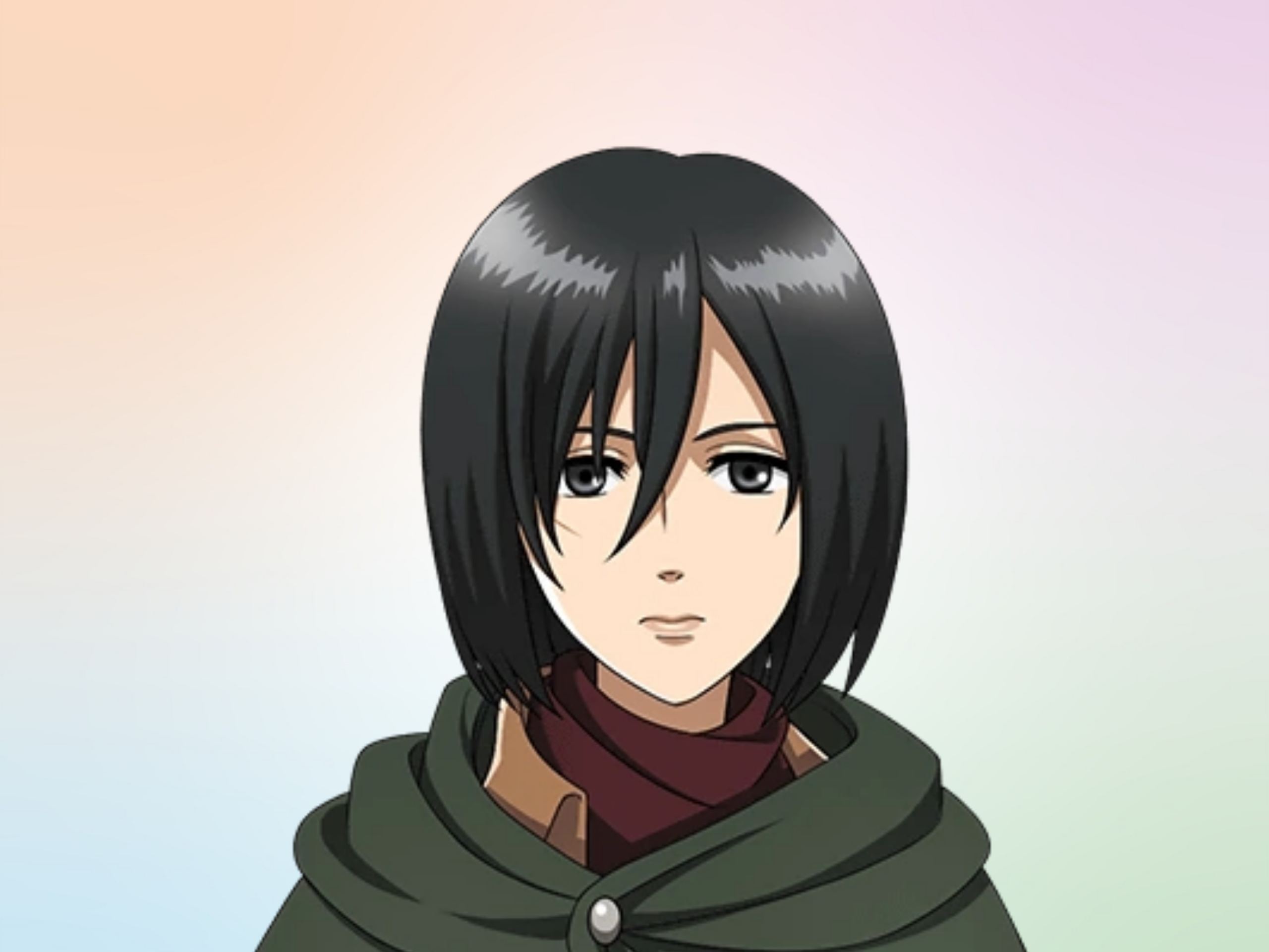 Character) Mikasa Ackerman - Shingeki no Kyojin | Ryuu-chan WIKI