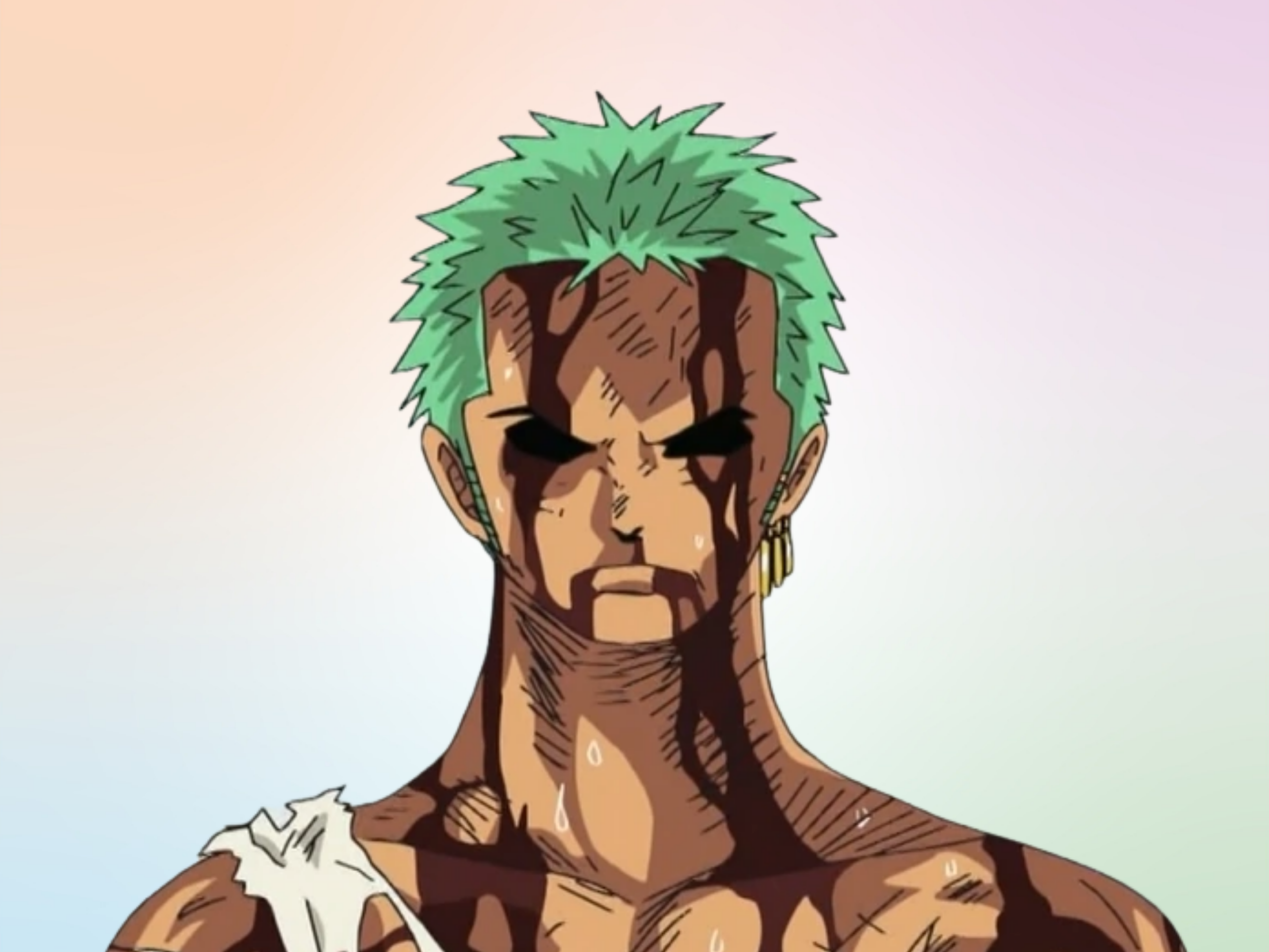 Roronoa Zoro, TASW Wiki