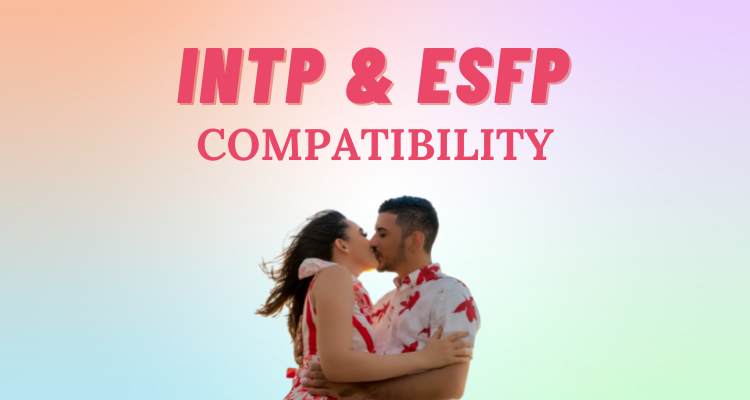 INTP and ESFP compatibility