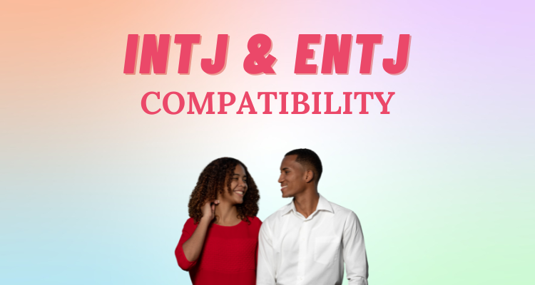 INTJ and ENTJ compatibility