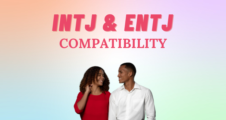 What is the difference between ENTJ and INTJ on the Myers-Briggs