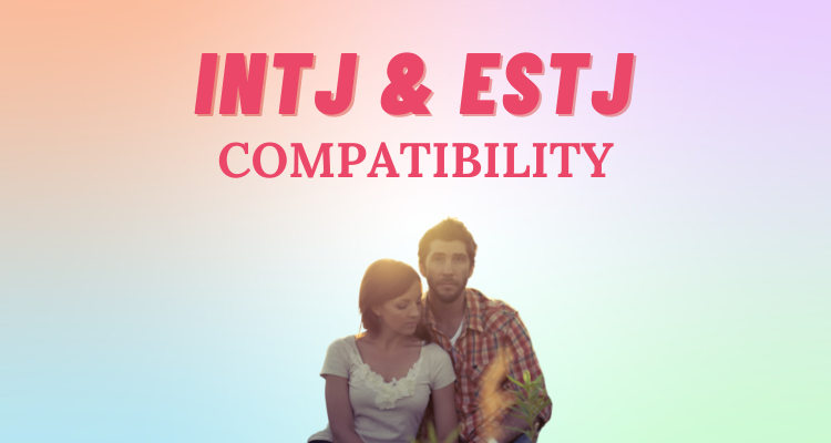 INTJ and ESTJ compatibility