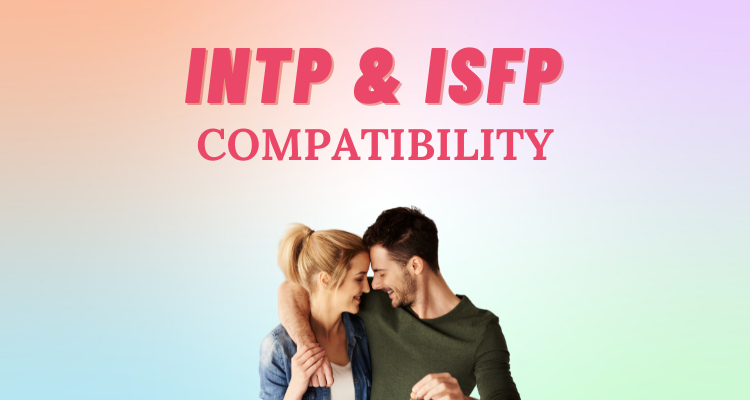 INTP and ISFP compatibility