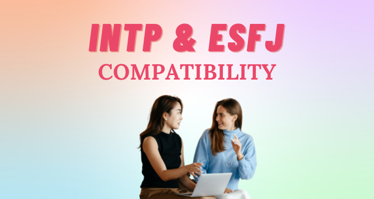 INTP and ESFJ compatibility