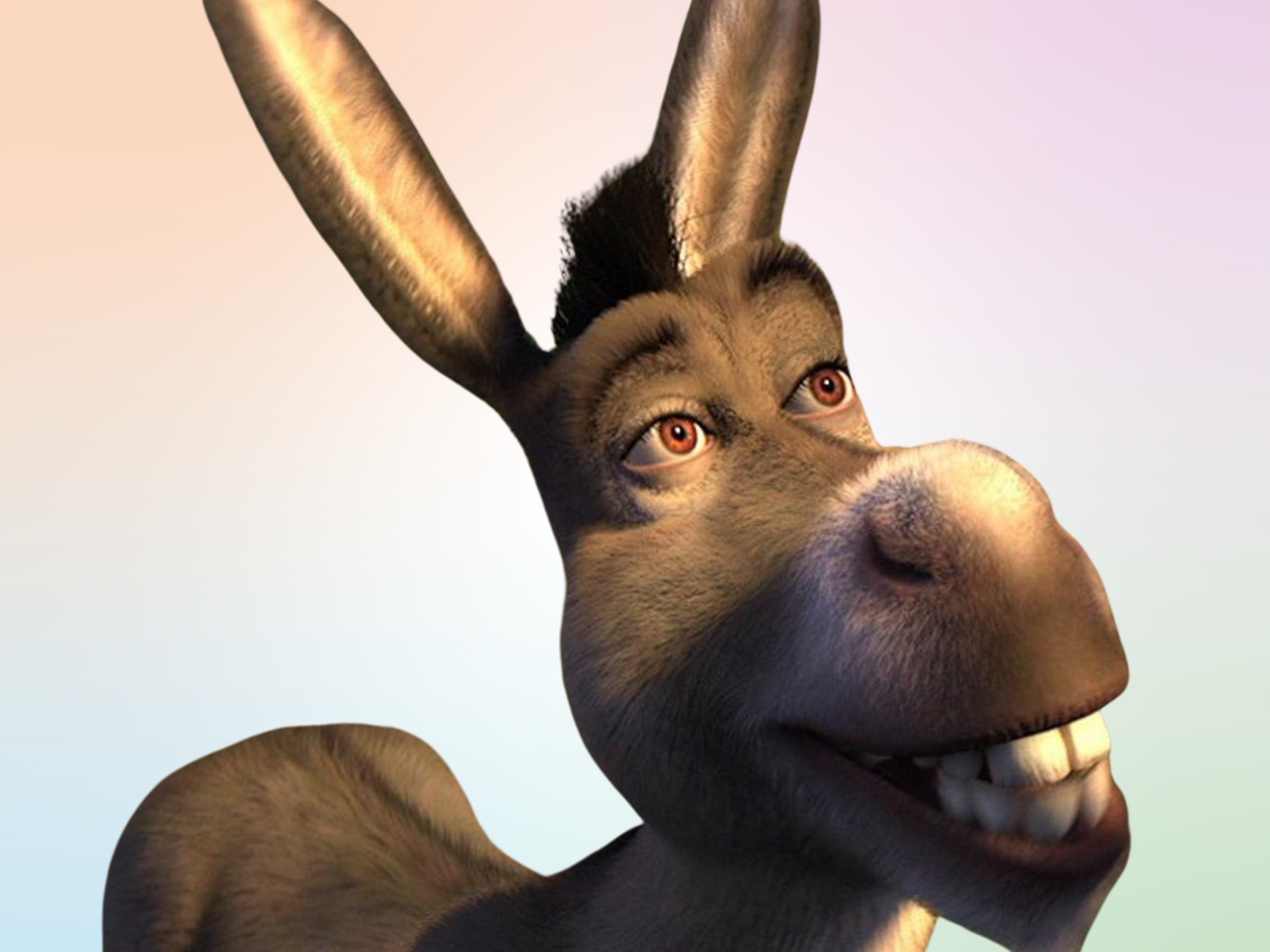 Burro.  Shrek character, Shrek, Shrek donkey