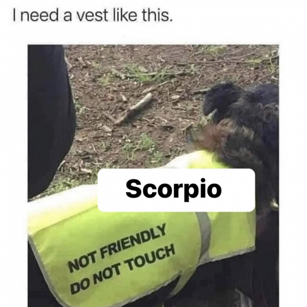Scorpio not friendly do not touch