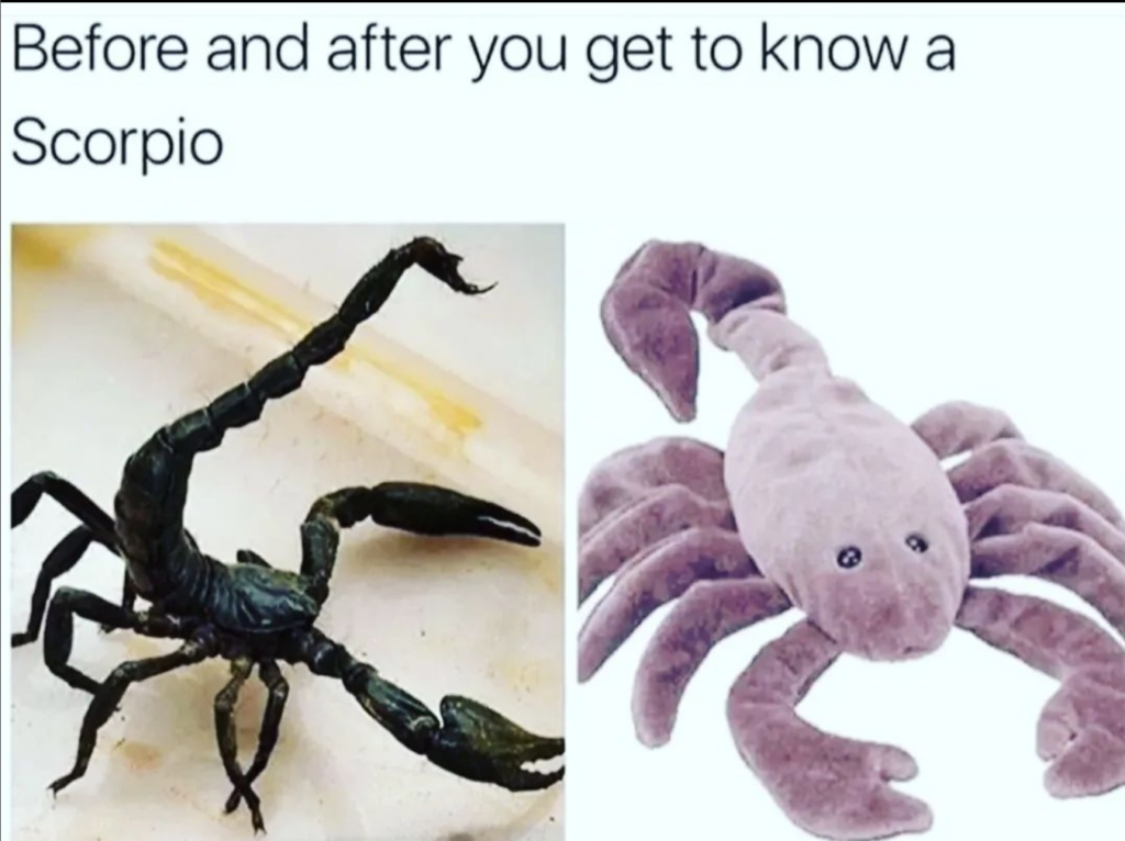 Scorpio meme: tough but cute