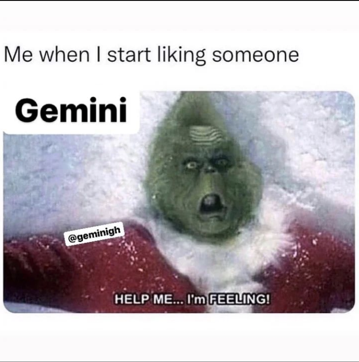 28 Funny and Relatable Gemini Memes | So Syncd