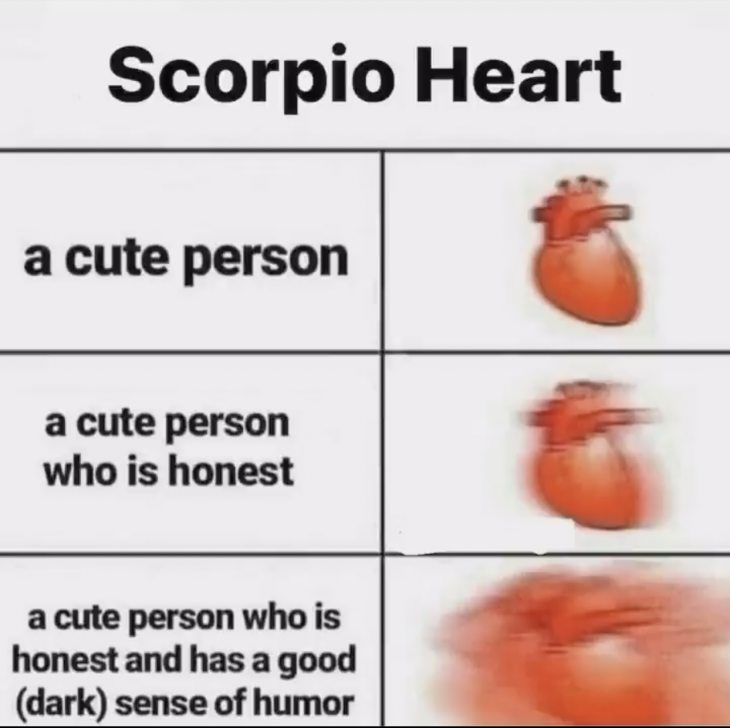 scorpio wants cute honest person with dark sense of humour