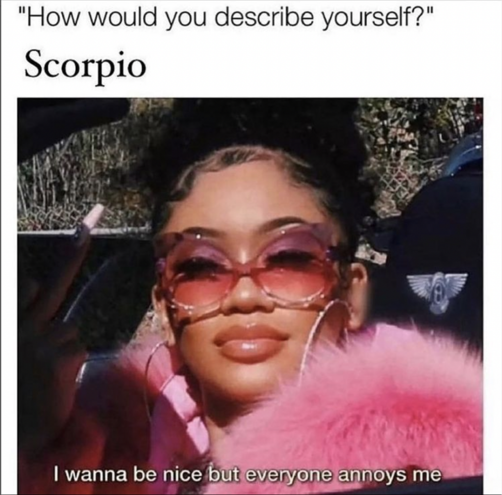 Scorpio meme: i don't like people