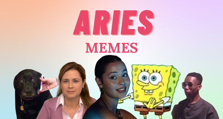 28 Funny and Relatable Aries Memes | So Syncd