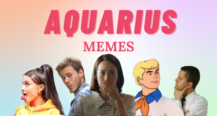 28 Funny and Relatable Aquarius Memes | So Syncd