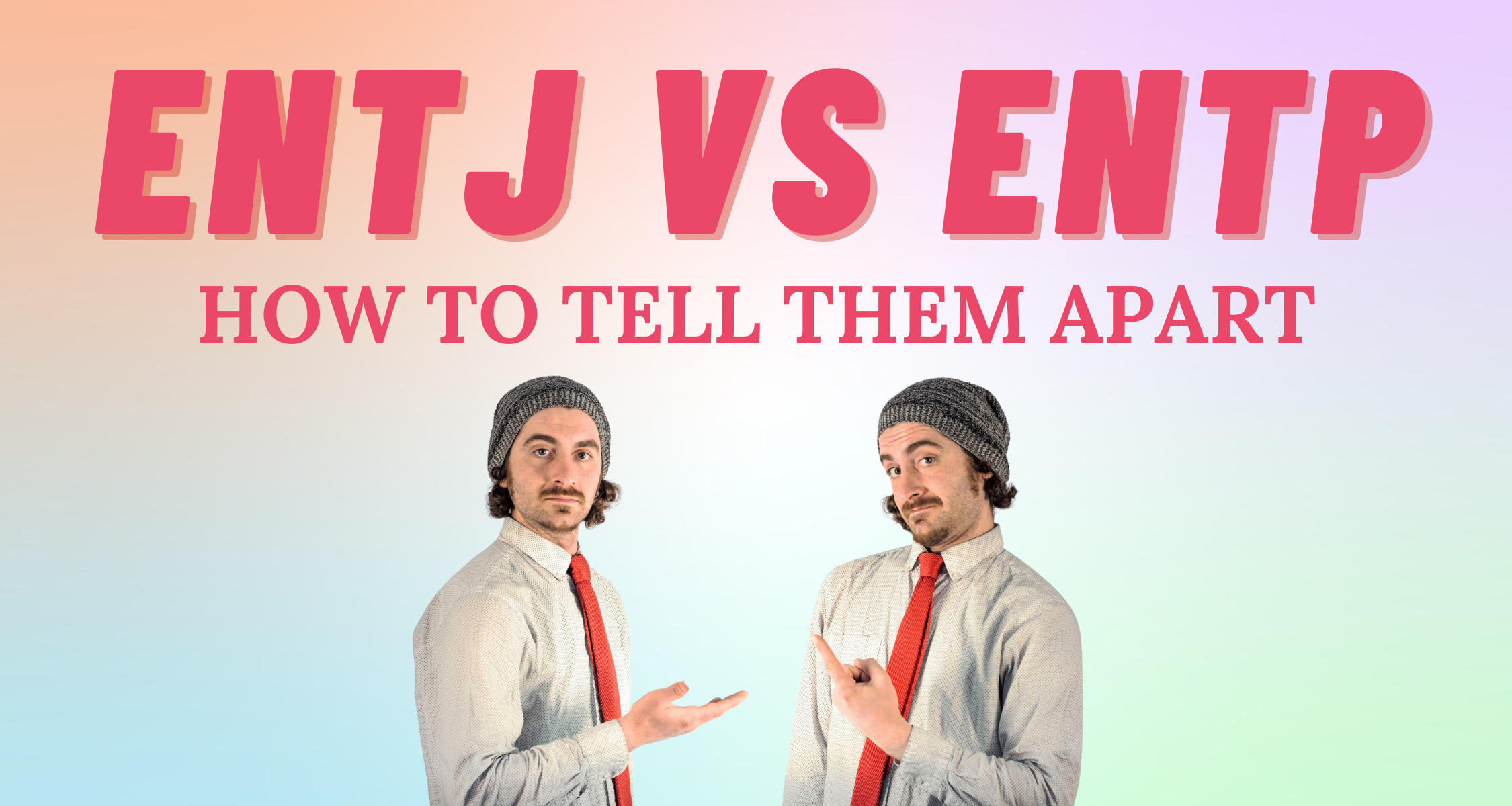 Fel MBTI Personality Type: ENTJ or ENTP?