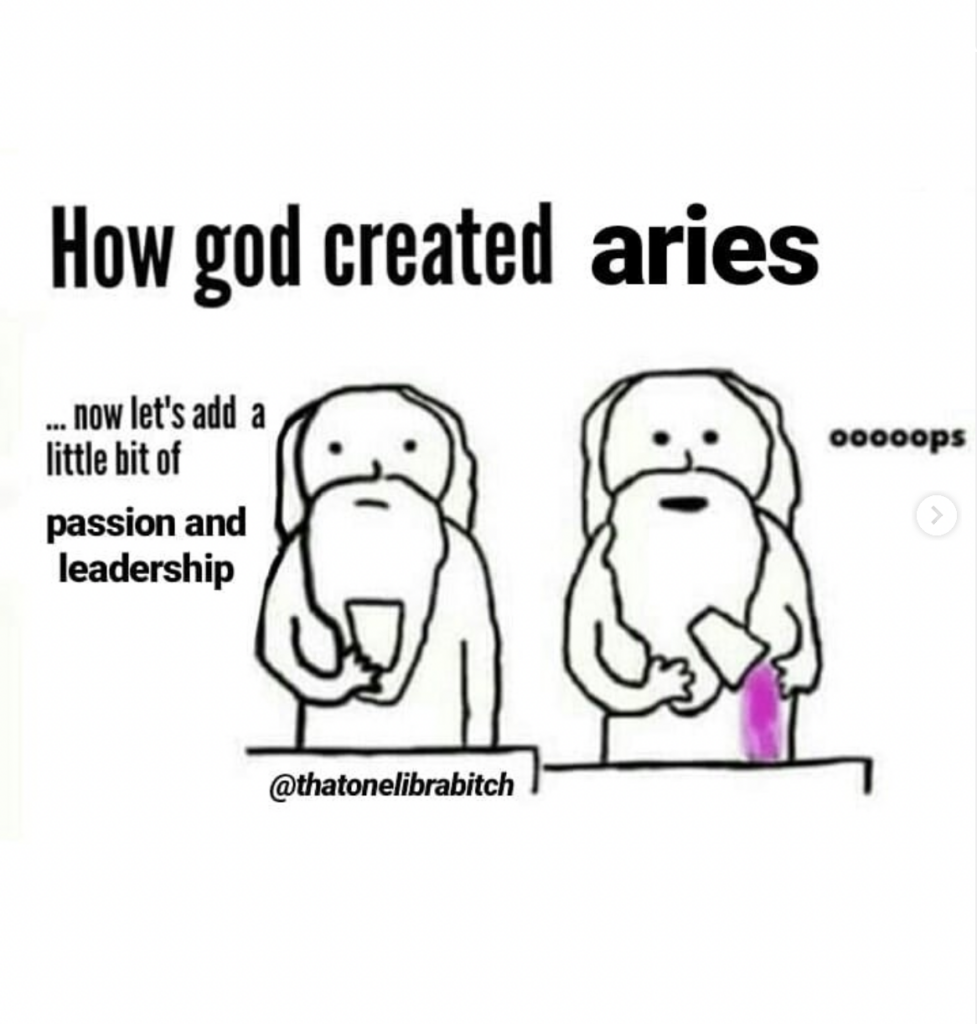 28 Funny and Relatable Aries Memes | So Syncd