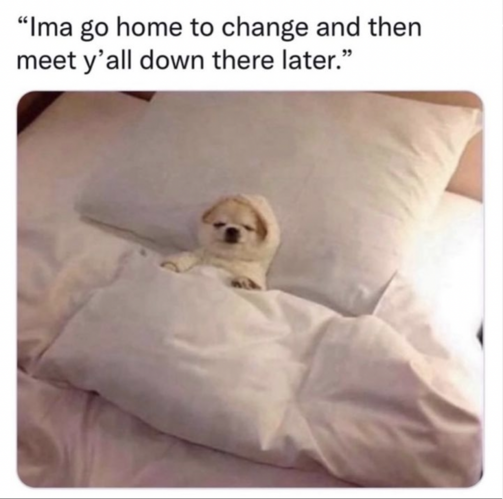 Introvert meme: staying at home