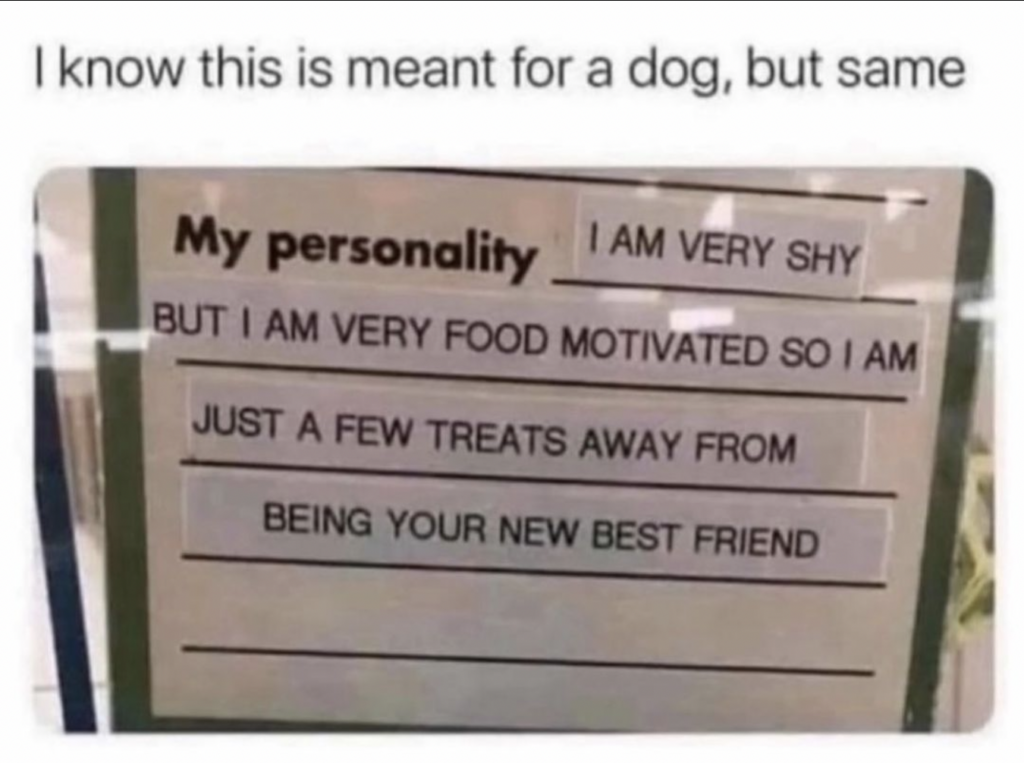 Introvert meme: give me food and i will be your friend