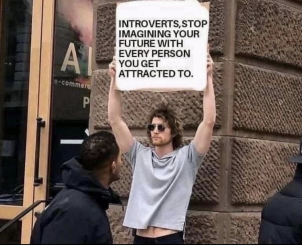 Introvert meme: stop imagining a future with everyone you meet