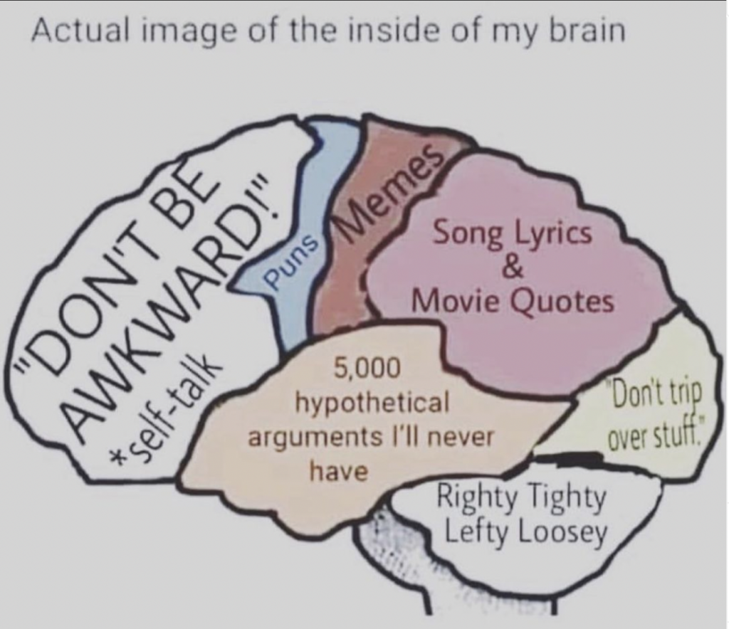 image of inside an introverts brain