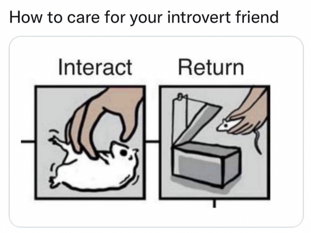 interact with your introvert friends but then leave them alone 