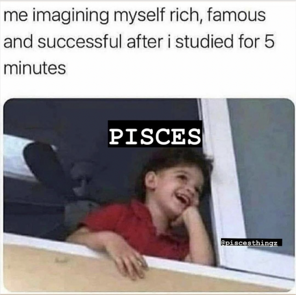 28 Funny and Relatable Pisces Memes | So Syncd