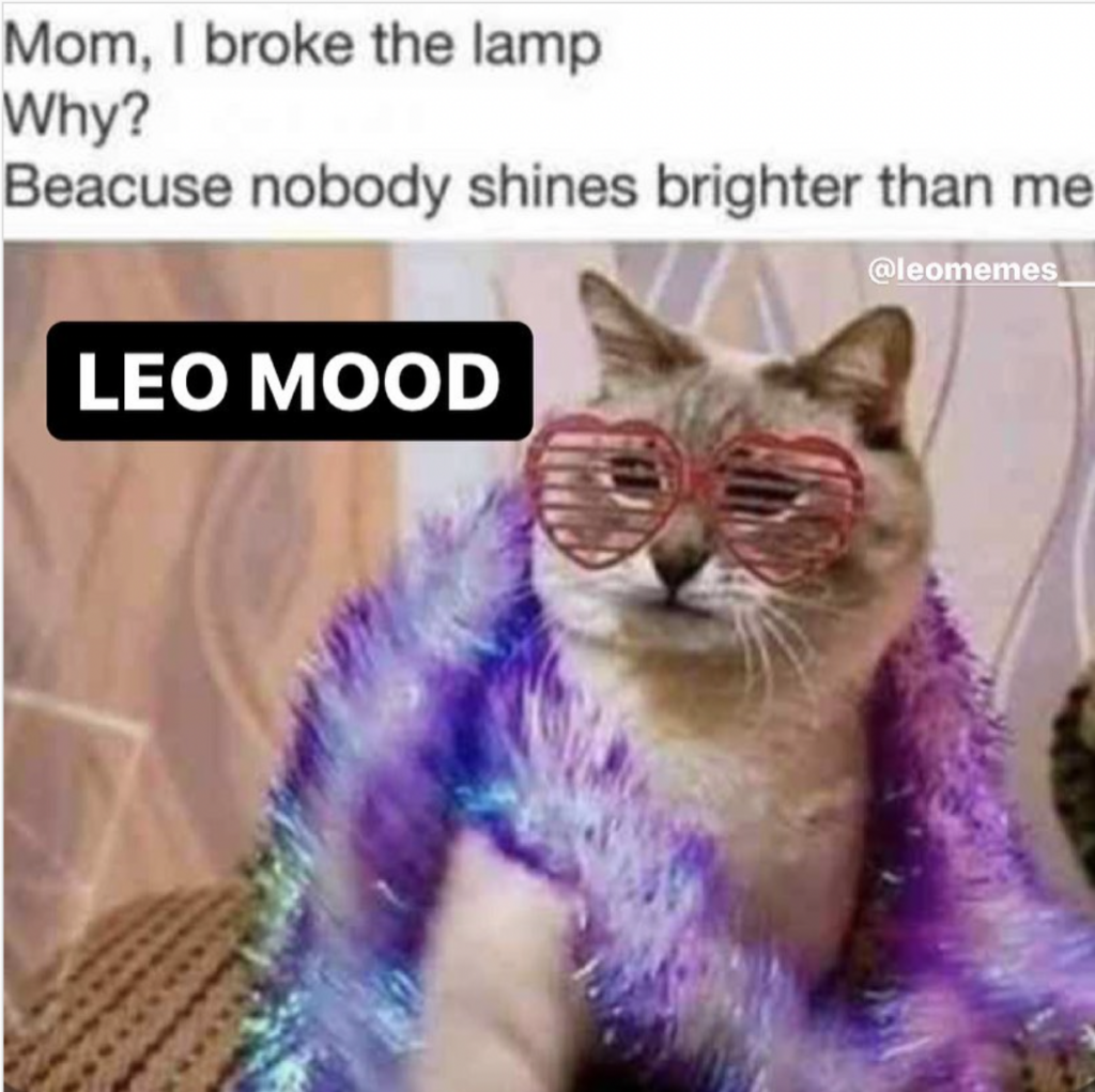 Zodiac meme: Leo confident