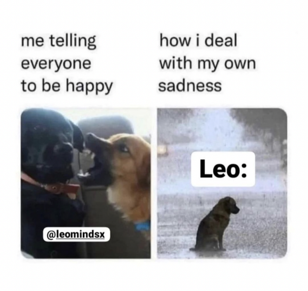 28 Funny and Relatable Leo Memes | So Syncd