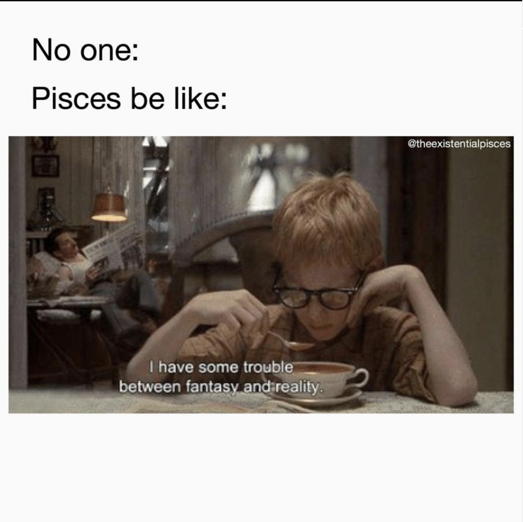 28 Funny and Relatable Pisces Memes | So Syncd