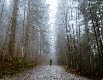 man walks alone in woods single