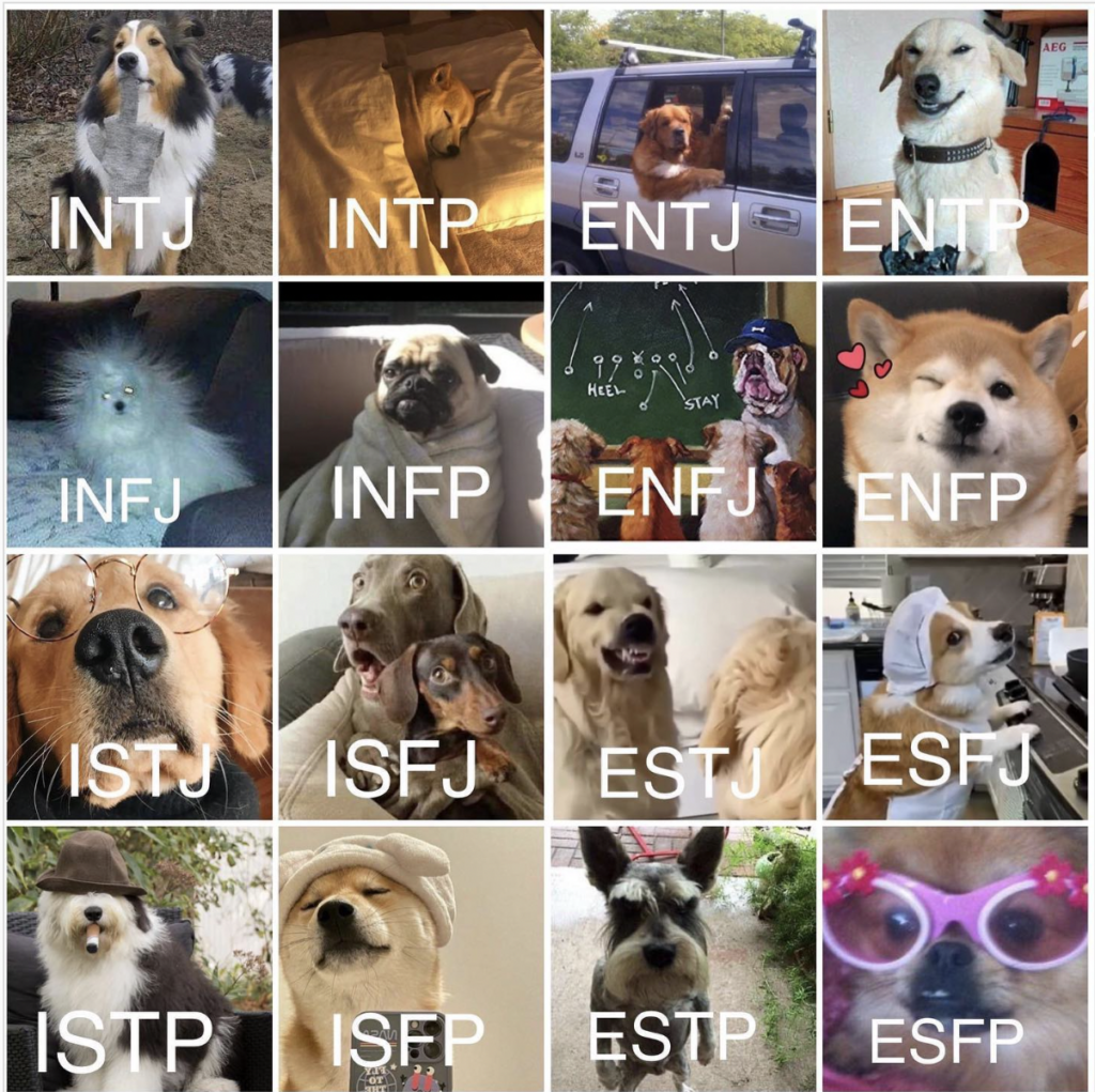 23 Hilarious Personality Type Memes For Everyone | So Syncd