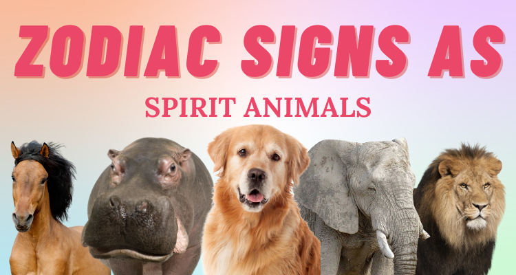 Spirit Animals of the Zodiac Signs | So Syncd