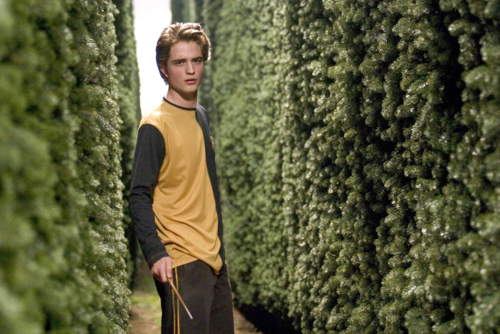 Cedric Diggory Personality Type, Zodiac Sign & Enneagram