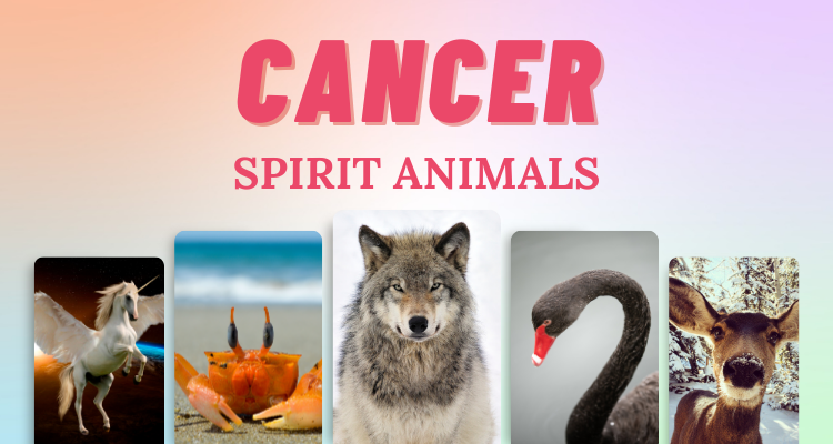 7 Cancer Spirit Animals that Embody this Zodiac Sign | So Syncd