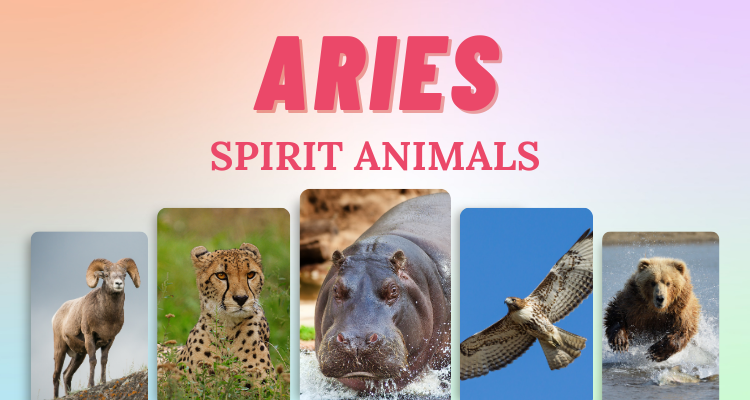 7 Aries Spirit Animals that Embody this Zodiac Sign | So Syncd