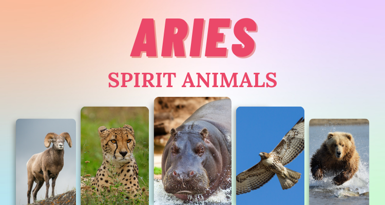 7. Aries Animal Symbol Tattoo - wide 4