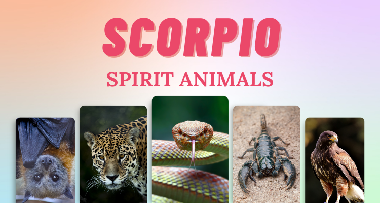 7 Scorpio Spirit Animals that Embody this Zodiac Sign | So Syncd