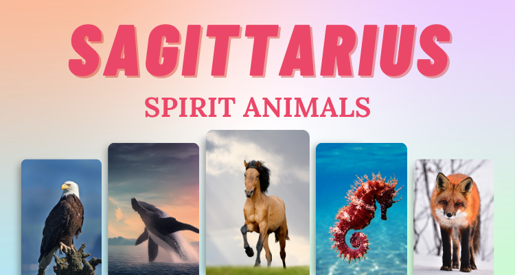 7 Sagittarius Spirit Animals that Embody this Zodiac Sign | So Syncd